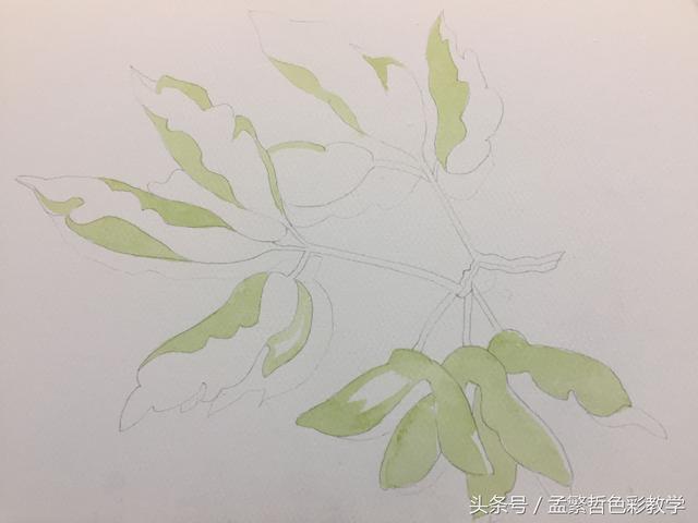 你知道树叶怎么画吗