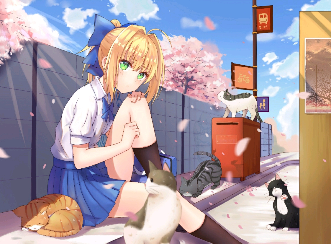 saber是不是超可爱 (图)