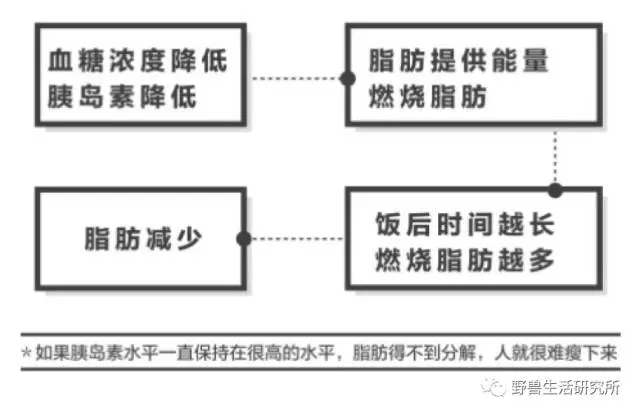 5d3cd71d6cfc9e47167b3eeccd29141058b09f46.png