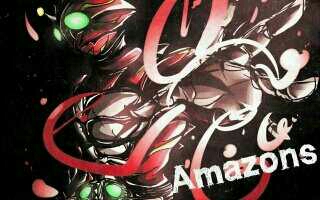 仁叔 amazons α