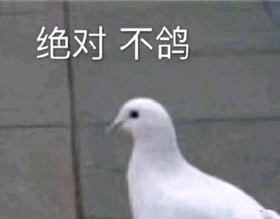 鸽子是如何练成的