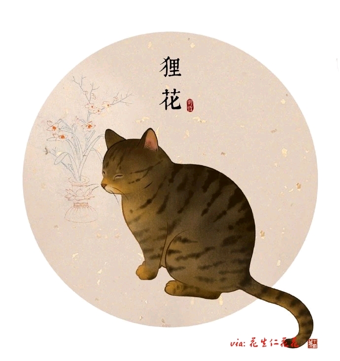 古代可爱猫咪的名字