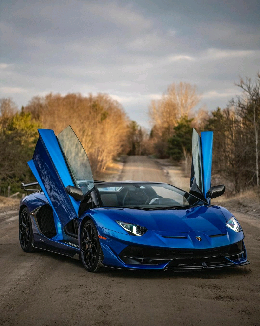 兰博基尼aventadorsvjroadster