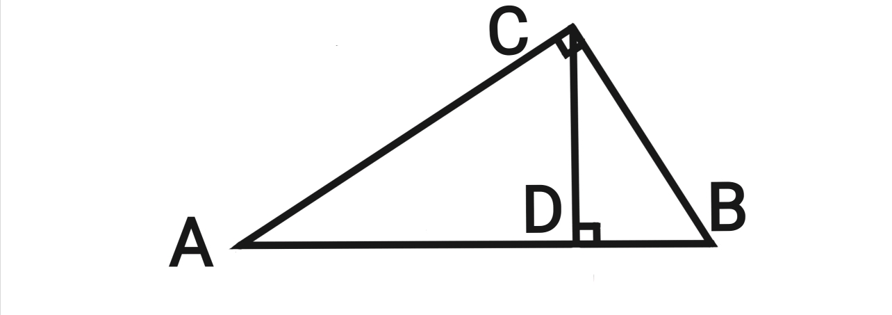 直角三角形abc和高cd
