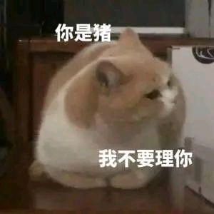 聊天必备表情包