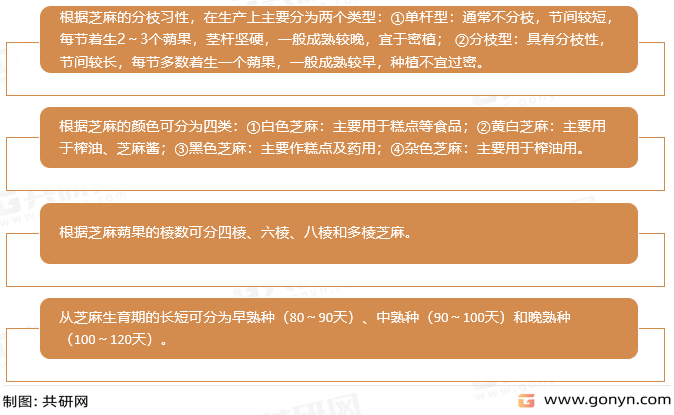 芝麻的主要类型