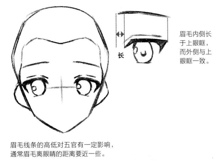 眉毛线条的高低对五官有一定影响,通常眉毛离眼睛的距离要近一些.