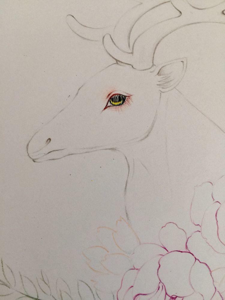 step3 梦幻色彩塑造小鹿