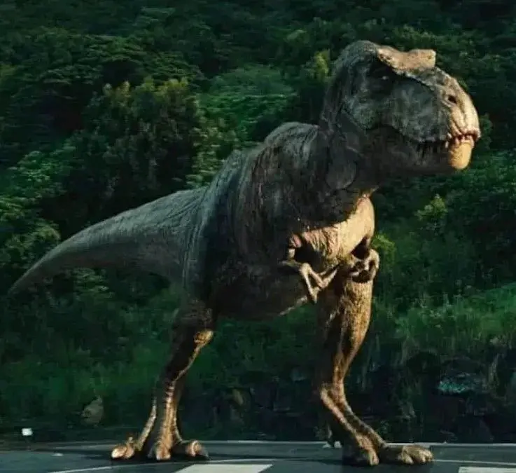 垃圾营销号口中的霸王龙天敌！