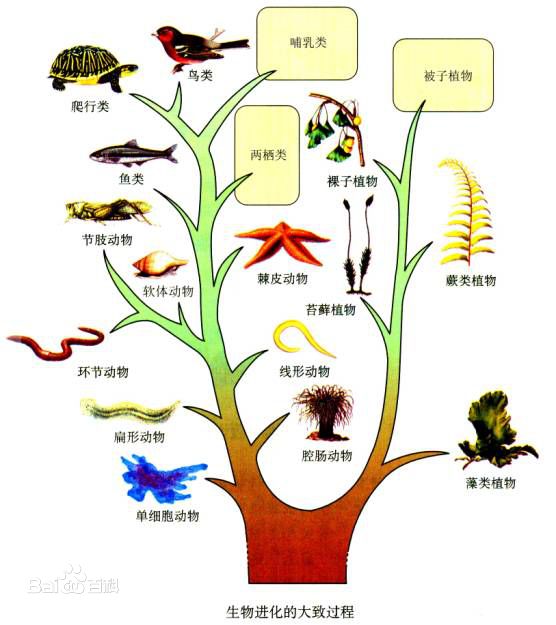 为什么恐龙用了近2亿年都没有进化出文明?——吃饱了撑了的脑力思考1.