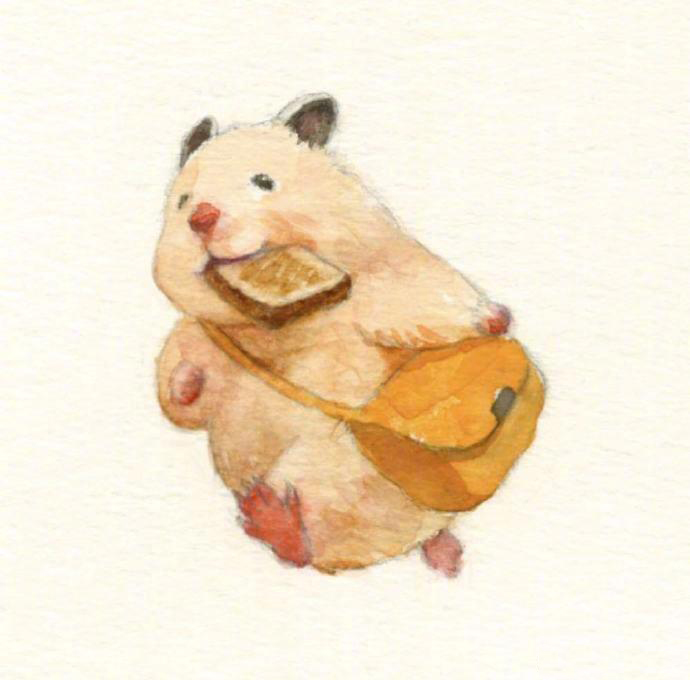 仓鼠精致的生活,是否像极了生活里的你我