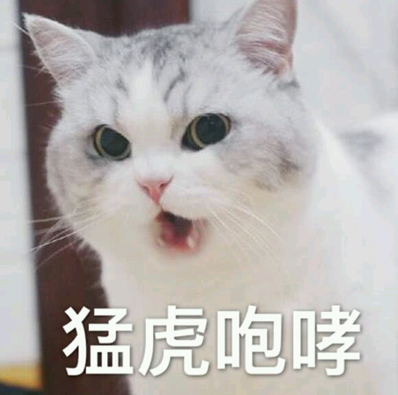 二哈的白猫师尊钢琴曲谱_二哈和他的白猫师尊(2)