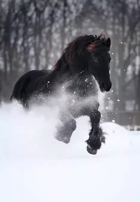 5f93c0a1da6512a66b4251192c468cb1f09152d3.jpg