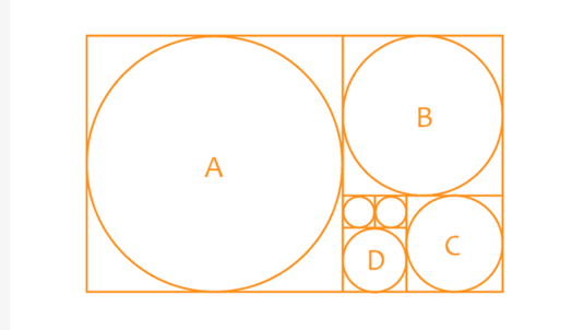 这些不同的圆形的大型比例刚好符合黄金分割的法则.