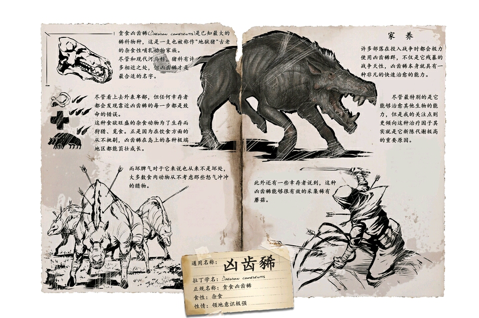 【方舟生存进化】救死扶伤–凶齿豨