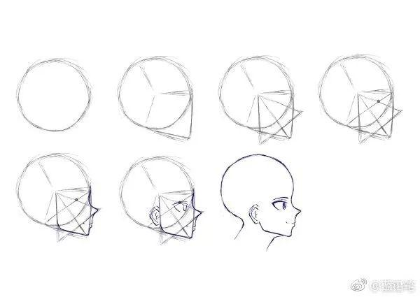 侧 面图 1.鼻子比嘴突出一些,鼻子,嘴,下巴形成一条斜线. 2.