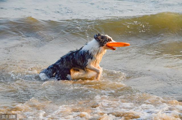 60419d580a150f755671760bdcb7892940d716e3.jpg