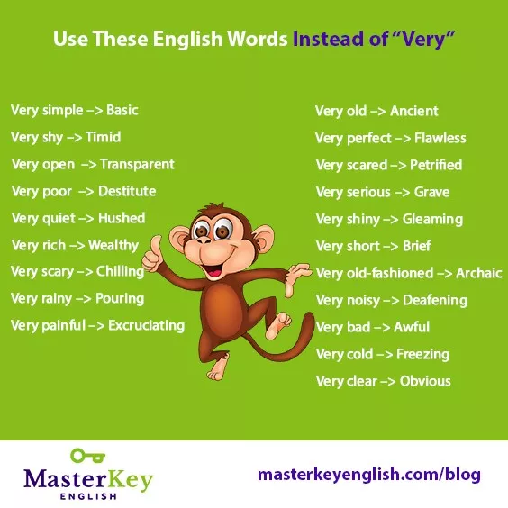 humorously,proprietor informal used humorously to say that something new is very