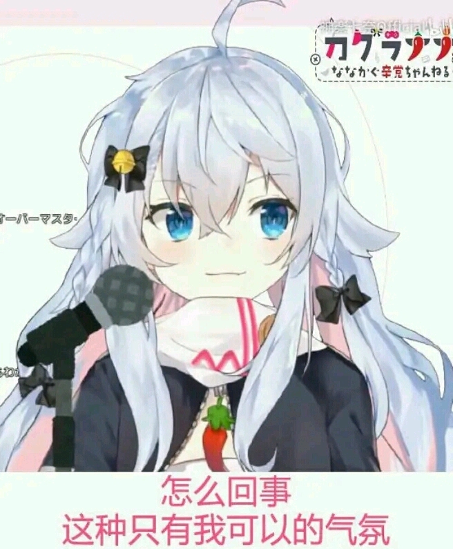 网络上流传的表情包3(狗妈)
