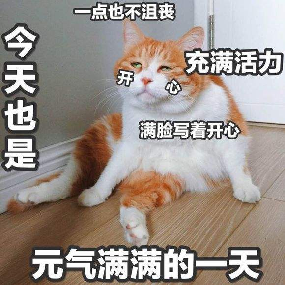 61b1975c6335b7e0e65422bbc1233075c7990f31.png