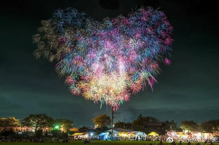 我在学校看见了烟花大会