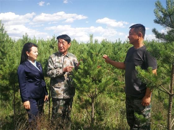 国防教育林晋察冀革命老区基地在左云县挂牌