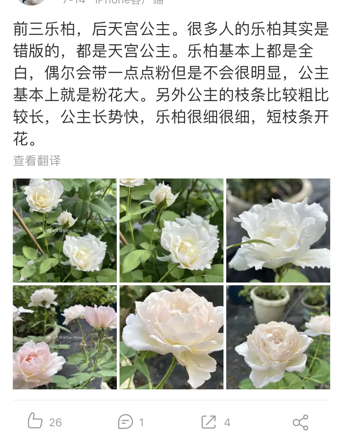 错版乐柏,卖家死不认账