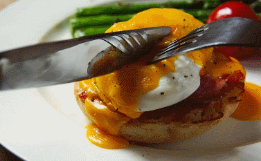 从厨房白痴到美食博主,我经历了什么?