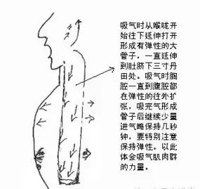 唱歌技巧:秒懂!歌唱呼吸技巧,如图所示!