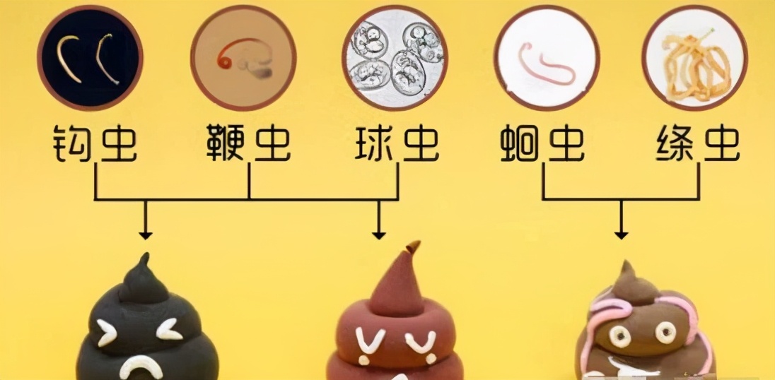 狗狗有没有寄生虫，看这6个表现就知道了！