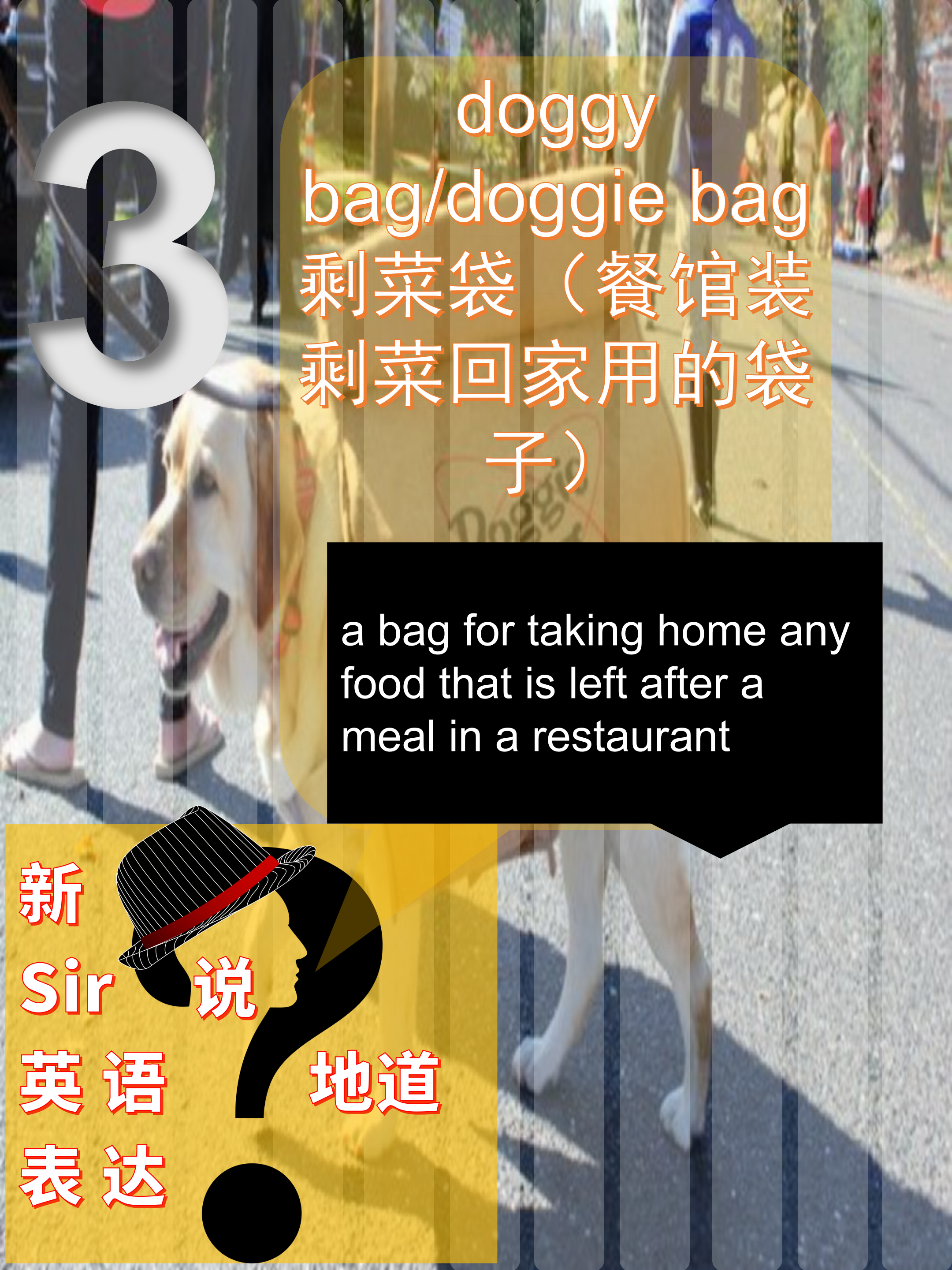 《忠犬八公》a dog's tale:从 hachi看doggy bag文化传统你不懂