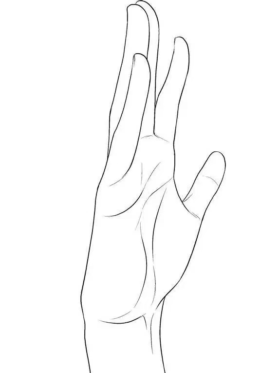 【板绘教程】手的画法&多角度手部练习