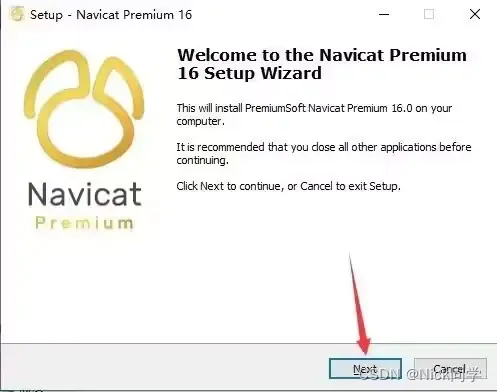 如何在Linux系统上下载Navicat？  第1张