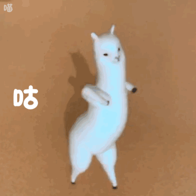 羊驼头部和骆驼相似,有大大的眼睛,很高的鼻梁,竖立的小耳朵,胃部有水