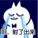 (此处省略一千字对蓝二的表白)