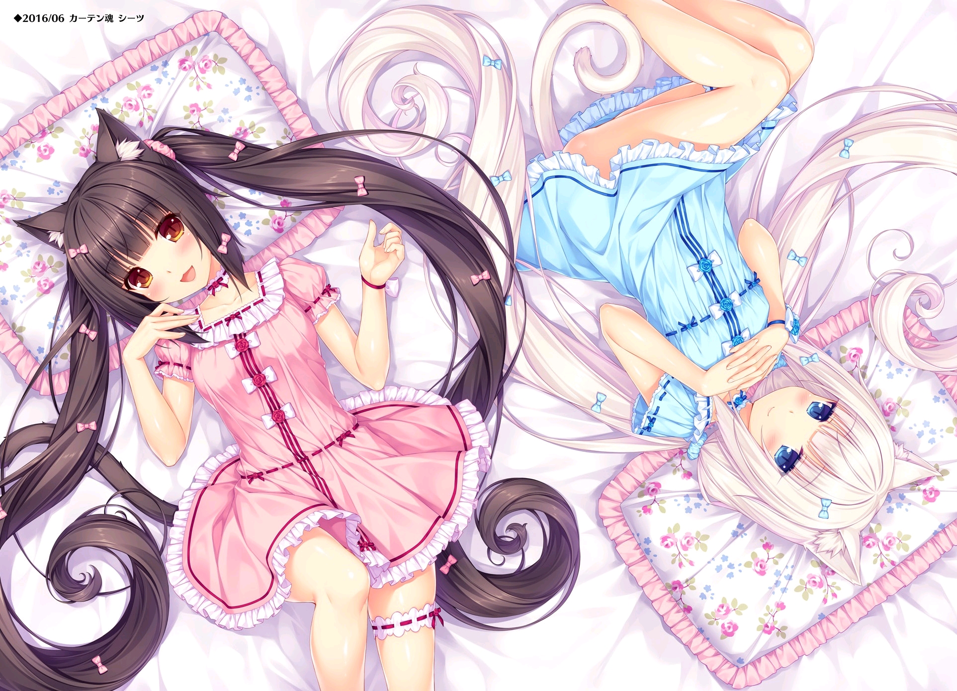 猫娘乐园高清唯美图片&壁纸