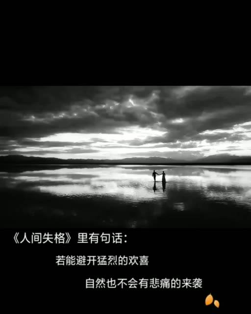 追逐的梦想和希望(献给爱情迷茫的人)