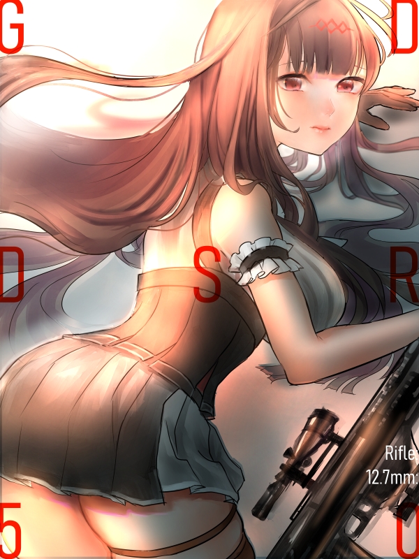 少女前线 dsr—50专集(三)