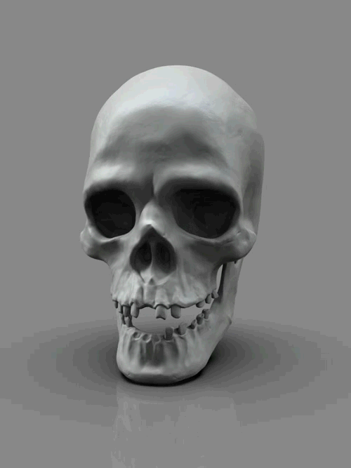 zbrushkeyshot第一次出一个头骨图