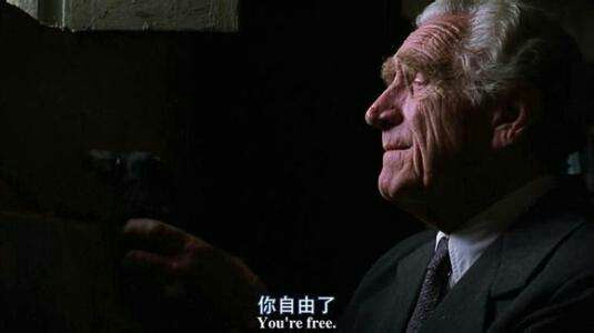 imdb电影 top250:no.1《肖生克的救赎》