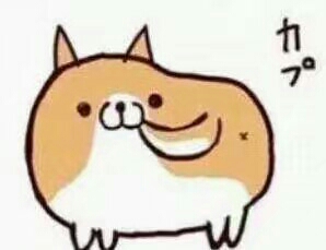 可爱的柯基表情微信老年人表情图片图片