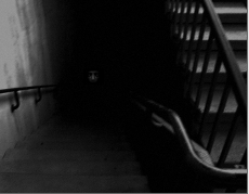 scp-087中出现的无脸怪物(即087-1)