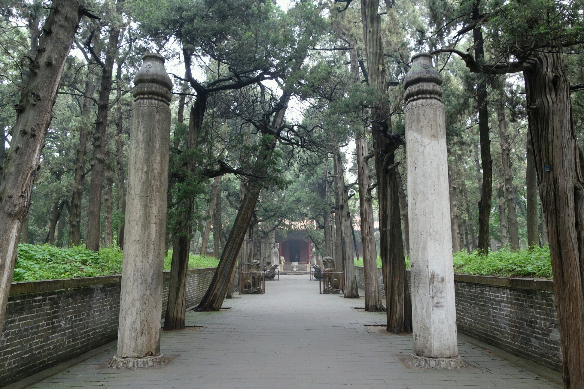 孔林  