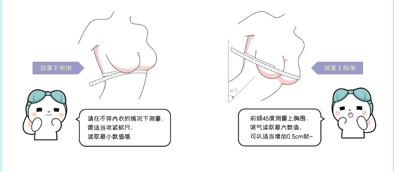 一张图告诉你如何测量胸围