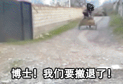 明日方舟表情包,阿米驴篇