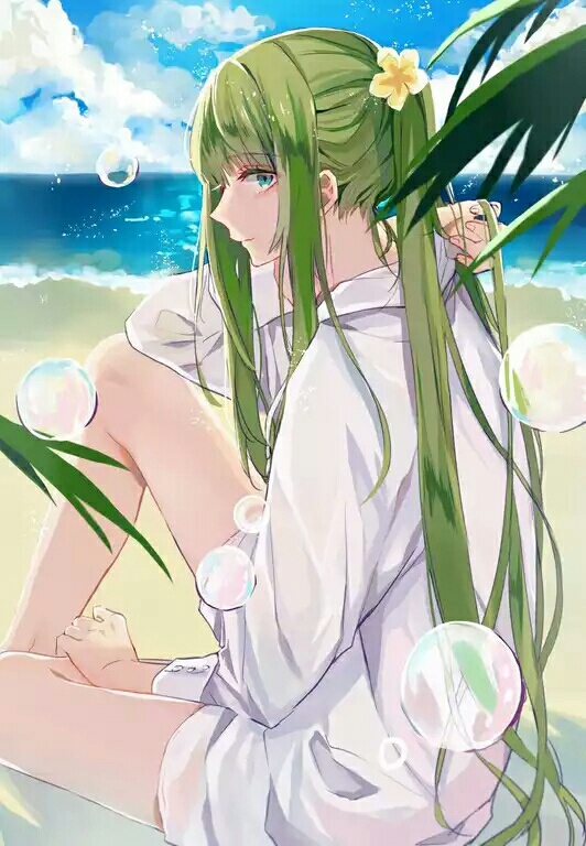 fate 美图 (杂,什么角色的都有)