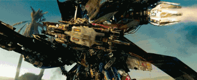 看完《大黄蜂》电影后,试问谁又不想养一只大黄蜂呢?