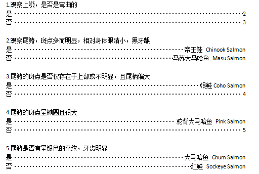 海捕太平洋鲑的自制分叉式检索表,注意是太平洋鲑,拿这个去看你买