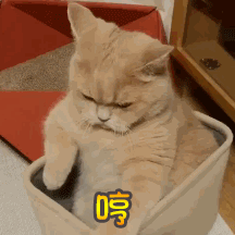 绘画干货吐血整理了400个表情图素材学画画快收藏临摹