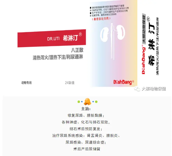 输液治疗，止疼止血更换处方粮每日口服药希淋汀（一个月），一周后减半